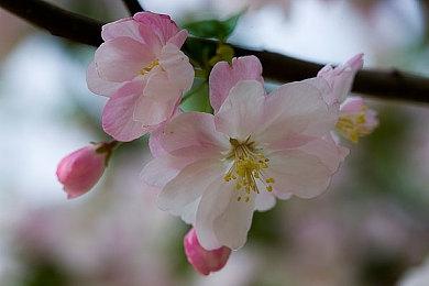 《勇者斗恶龙3 HD-2D重制版》先导预告 将登陆主机和PC